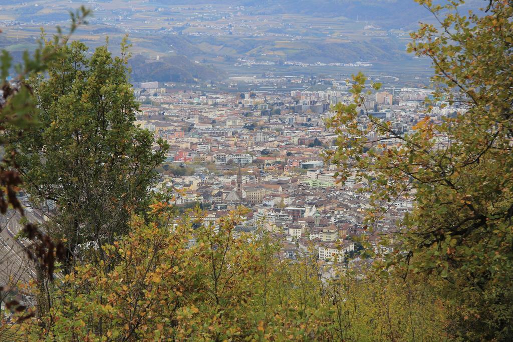 Bozenapartments Garibaldi Dış mekan fotoğraf